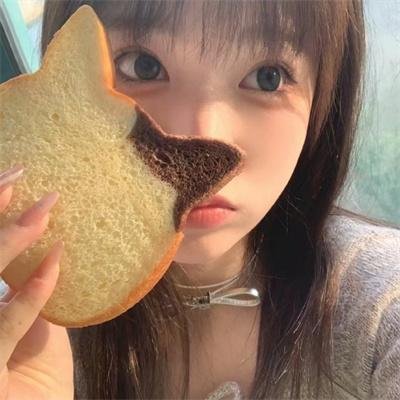 一日偶像署长的事件簿