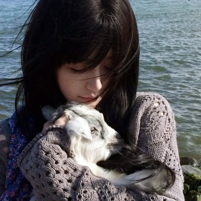 请赐我一双翅膀