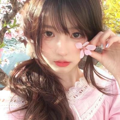 一日看尽长安花