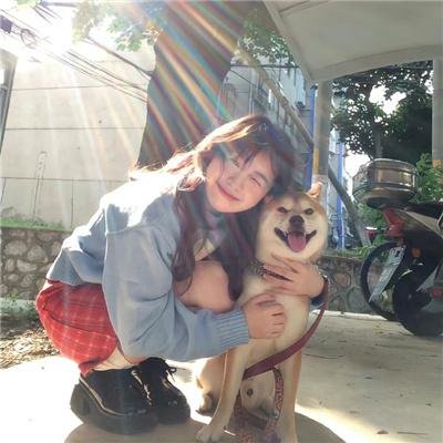 神宠鲁弗斯大冒险